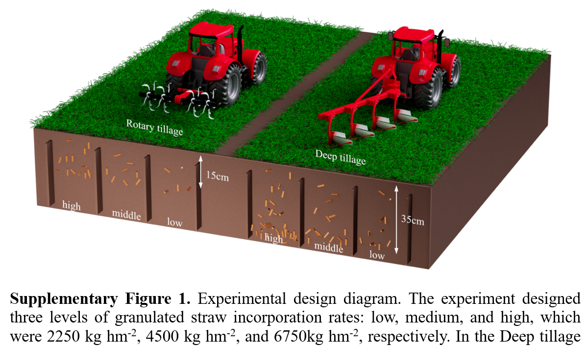 科研配图 (4).webp